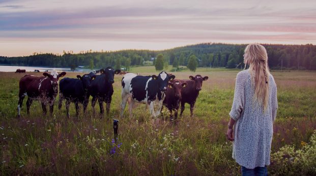 Gratis zoo med röda stugor och allemansrätt